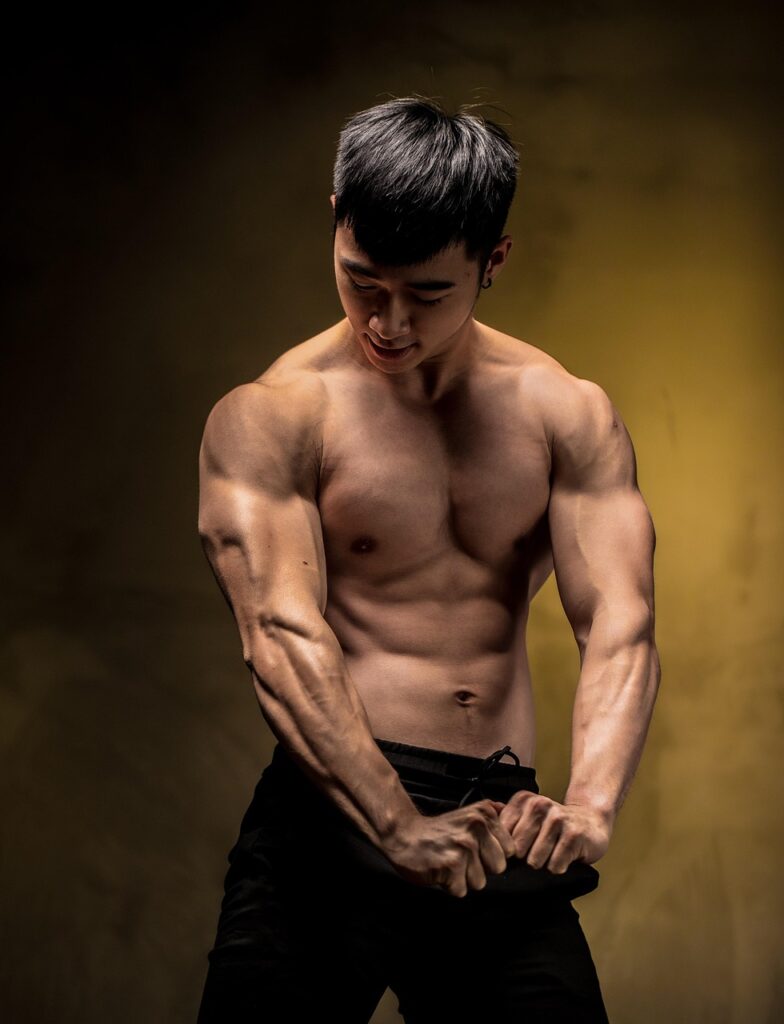 man, muscles, body, training, exercise, fitness, fit